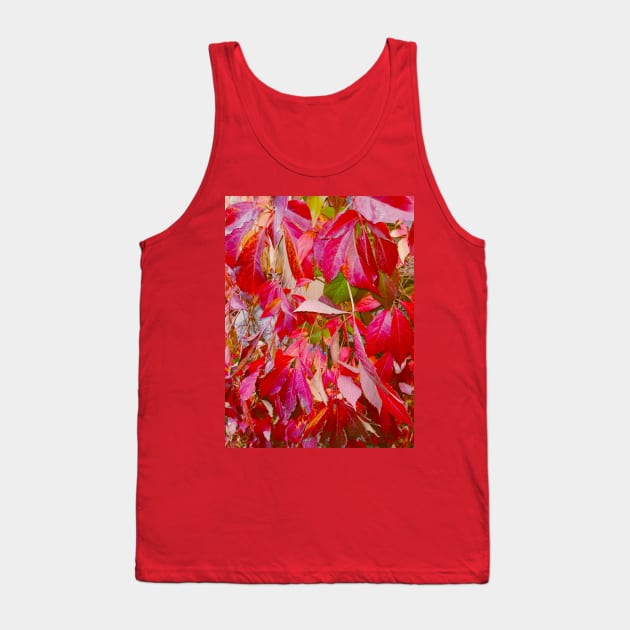 Warm Red Autumn Leaves Vibes Photography Tank Top by colorful444